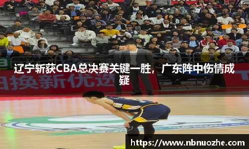 bsports登录入口