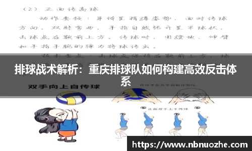 bsports官网入口
