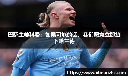 bsports官网入口