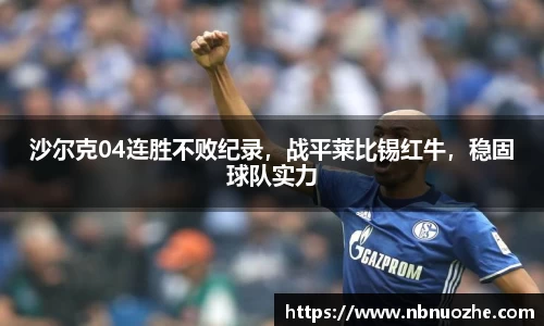 bsports官网入口