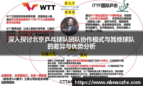 深入探讨北京乒乓球队团队协作模式与其他球队的差异与优势分析