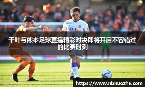 bsports登录入口
