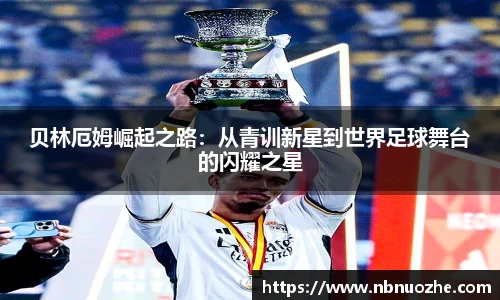 bsports登录入口