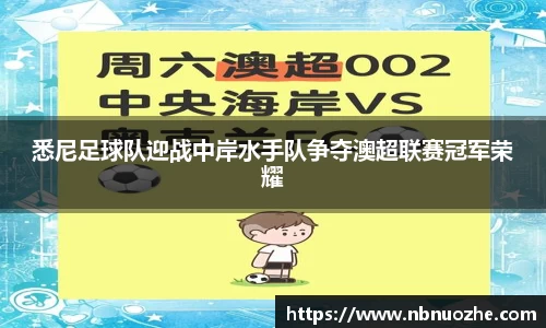 Bsports网页版