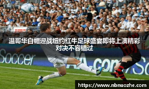 Bsports网页版