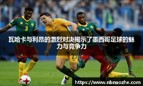bsports官网入口