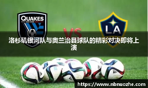 Bsports网页版