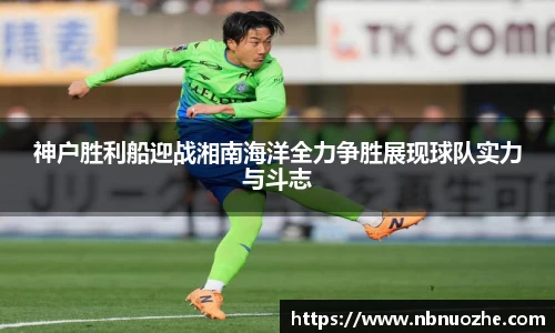 bsports登录入口