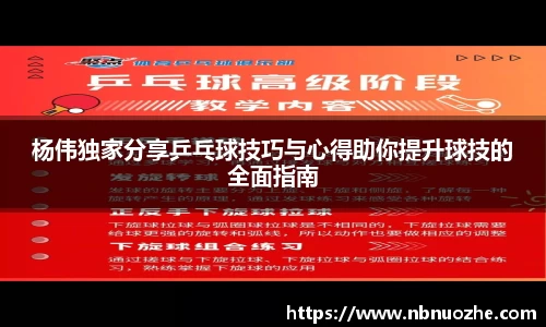 Bsports网页版